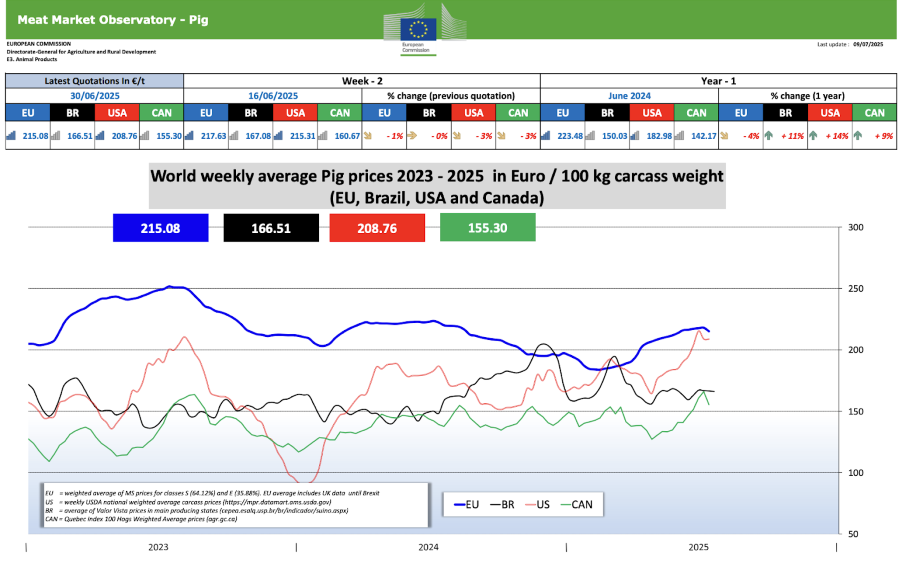 nov 14 07 2025 svini