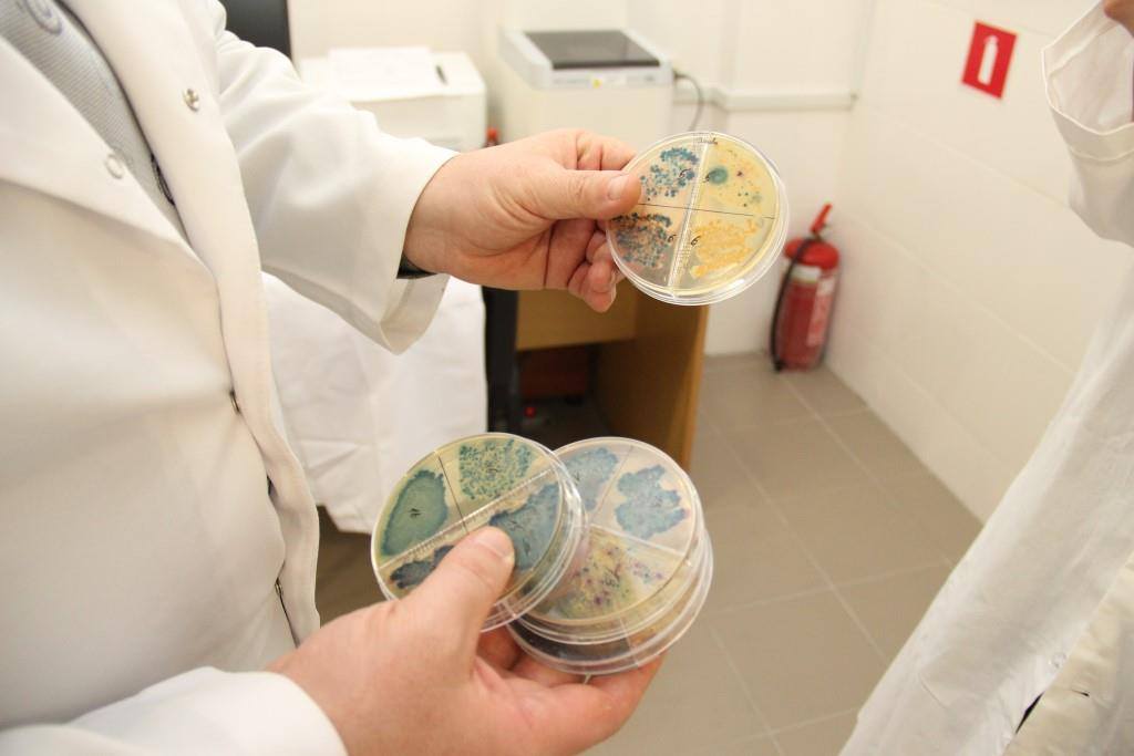 nov 15 12 2017 abm 2