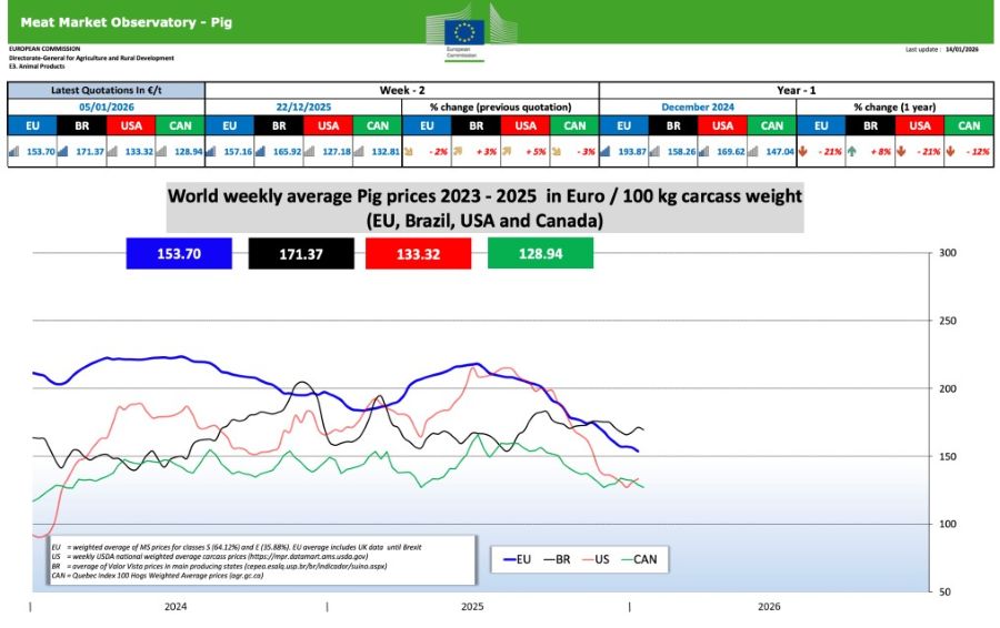 nov 16 01 2026 svini