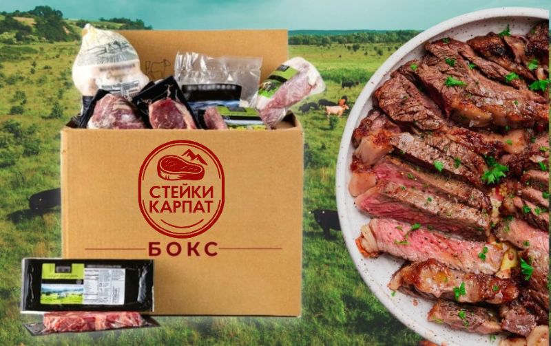 nov 16 02 2026 steyk 2