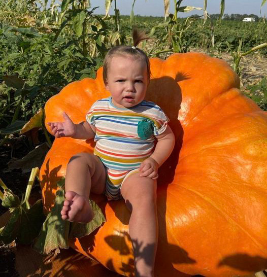 nov 18 10 2024 garbuz