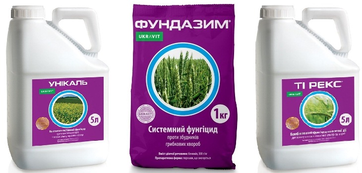 nov 18 11 2019 ukravit 1