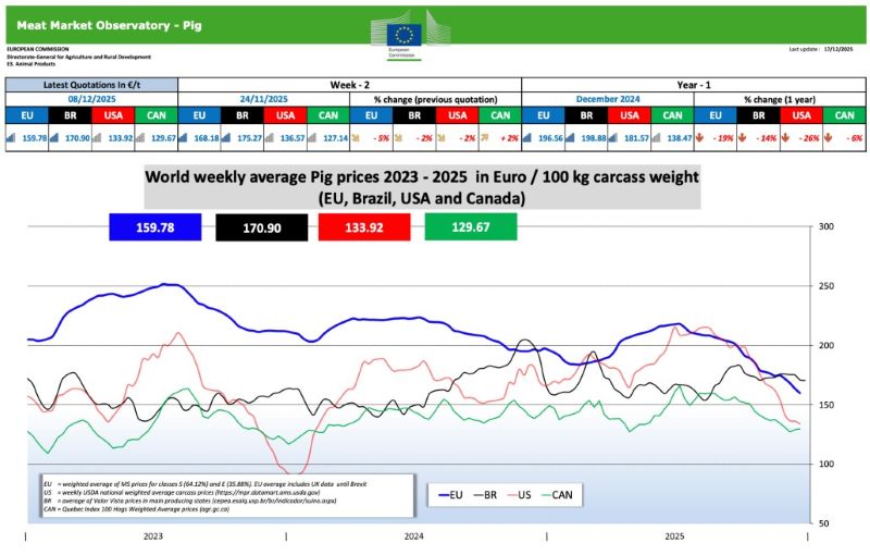 nov 19 12 2025 svini