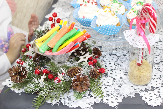 nov 20 12 2017 agrocem 2