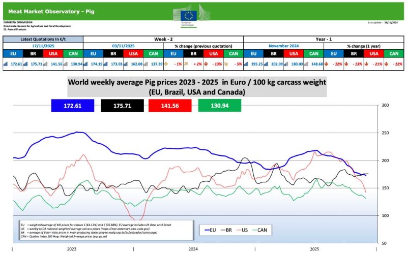 nov 27 11 2025 svini