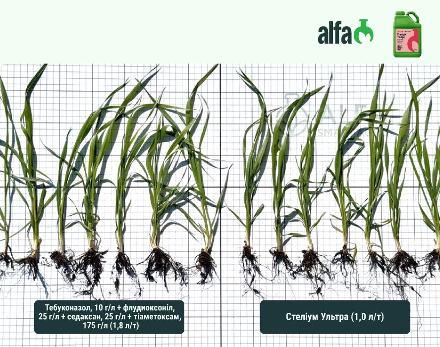 AlfaSmartAgro 22 07 25 10 3