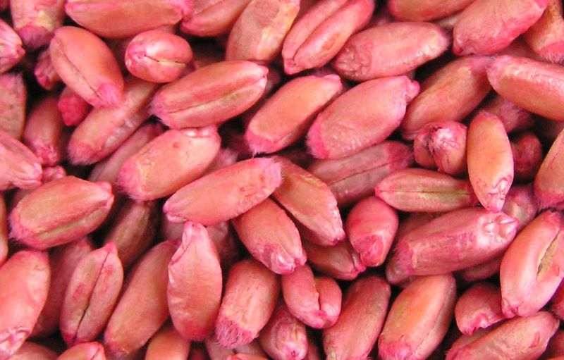 AlfaSmartAgro 22 07 25 2