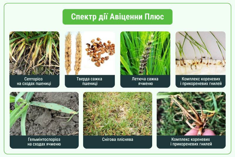 AlfaSmartAgro 22 07 25 3 2