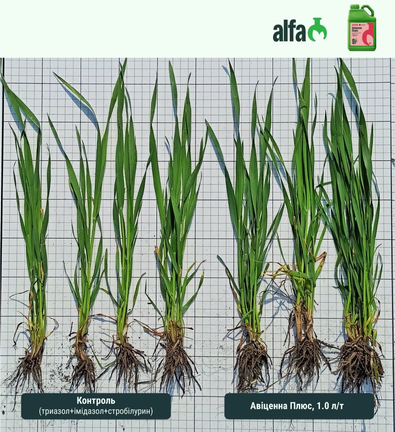 AlfaSmartAgro 22 07 25 5 0