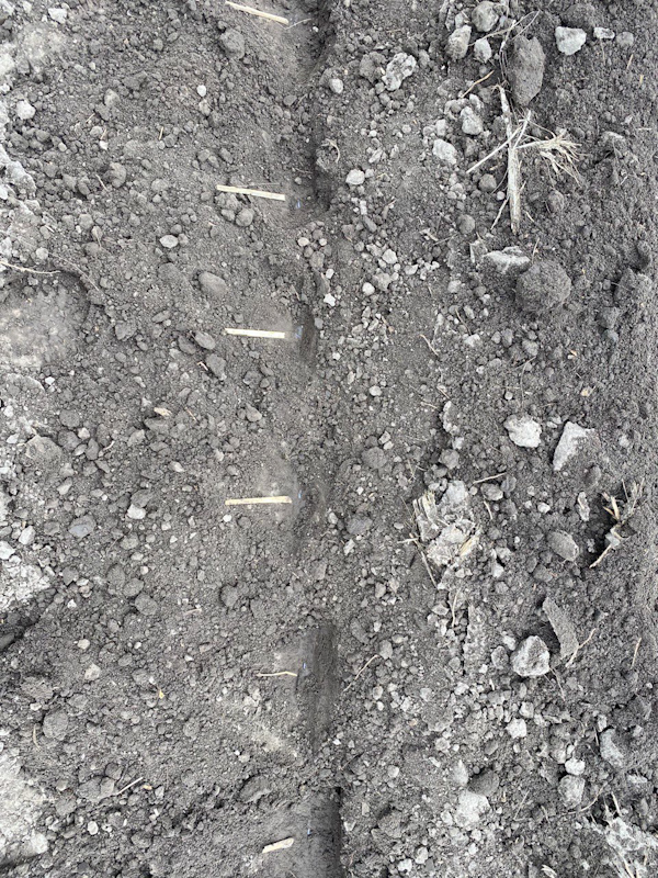 nov 21 04 2021 amazone 3