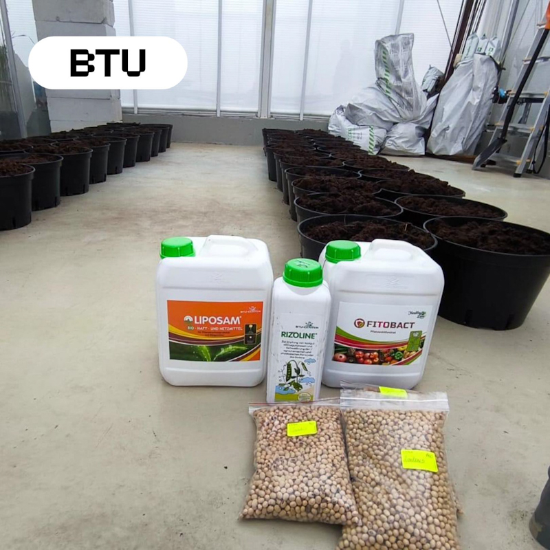 btu 04 04 25 2