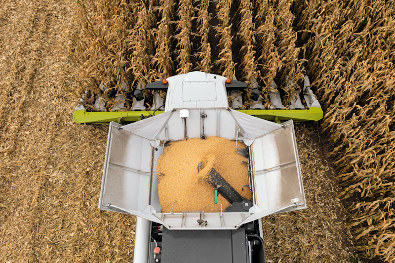 claas 09 08 2023 2