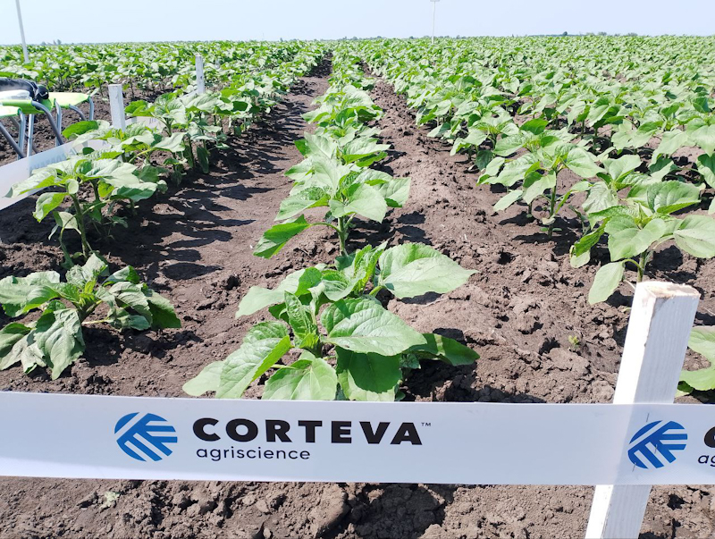 Corteva 11 06 25 3