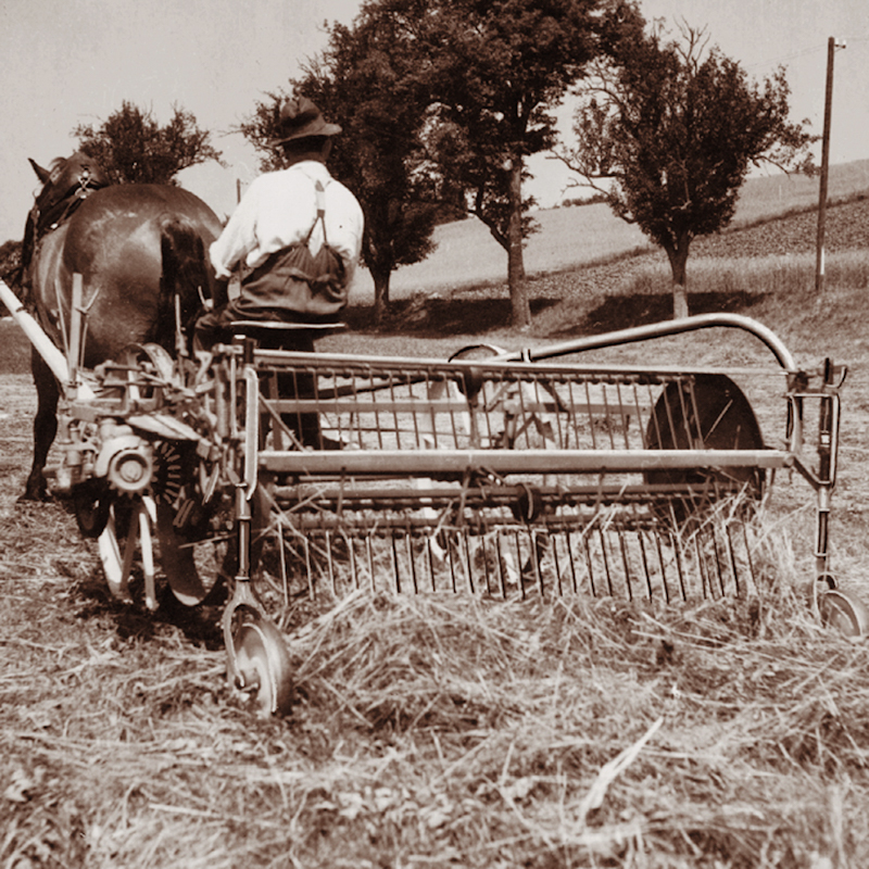 pottinger150 2