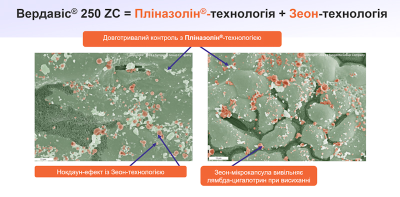 Syngenta 01 03 25 9