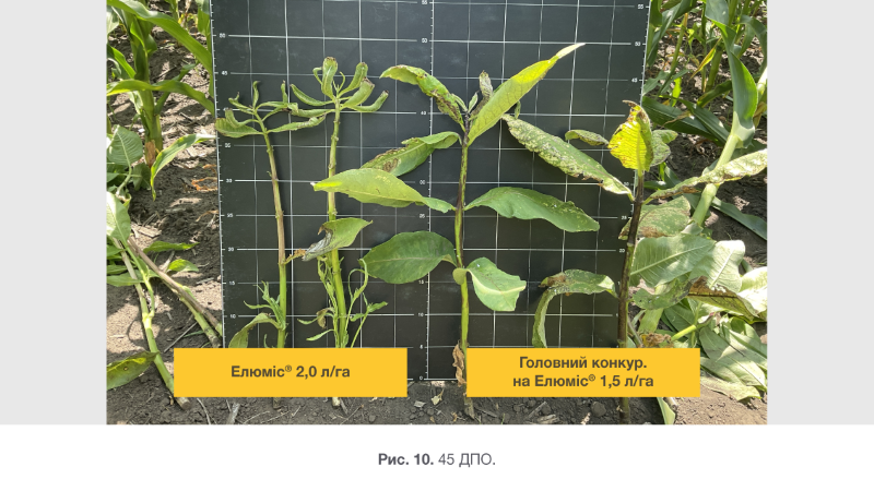 Syngenta 04 03 26 10
