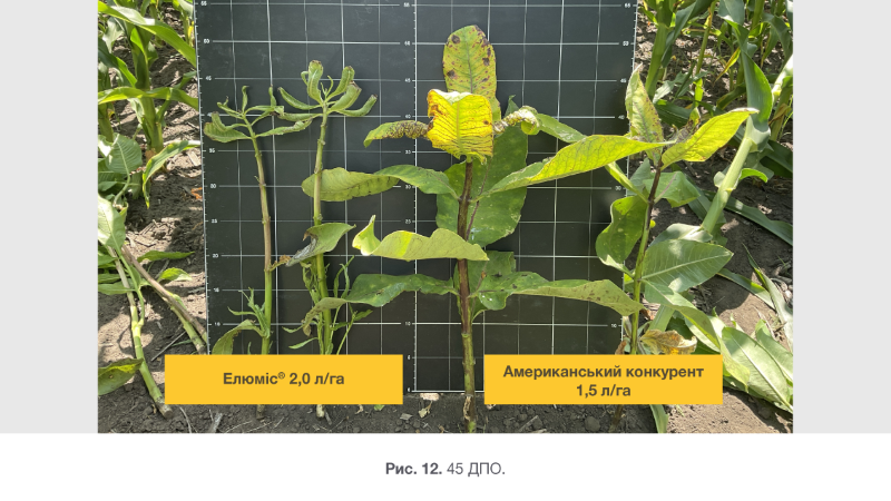 Syngenta 04 03 26 12