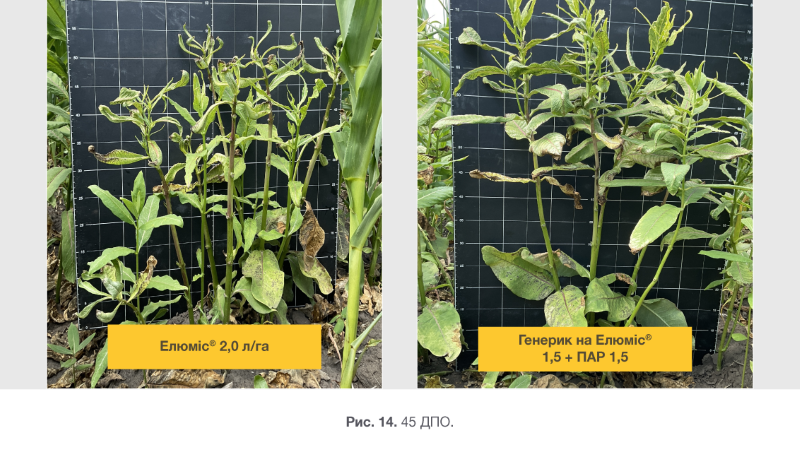 Syngenta 04 03 26 14