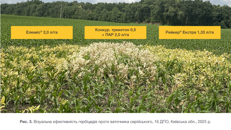 Syngenta 04 03 26 3