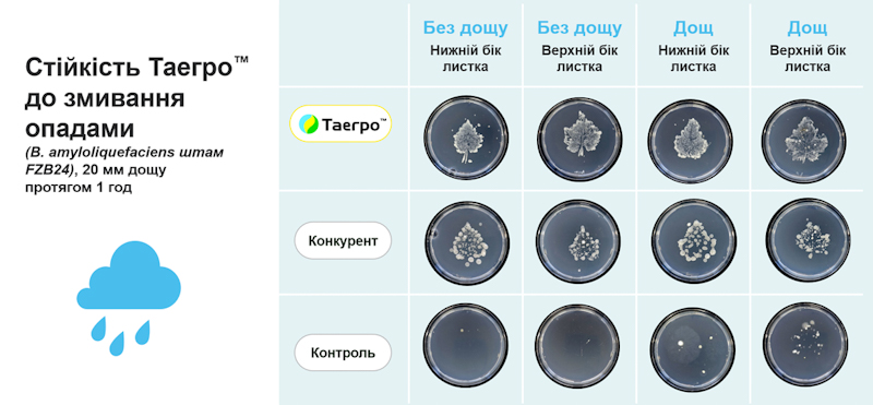 Syngenta 21 01 25 4
