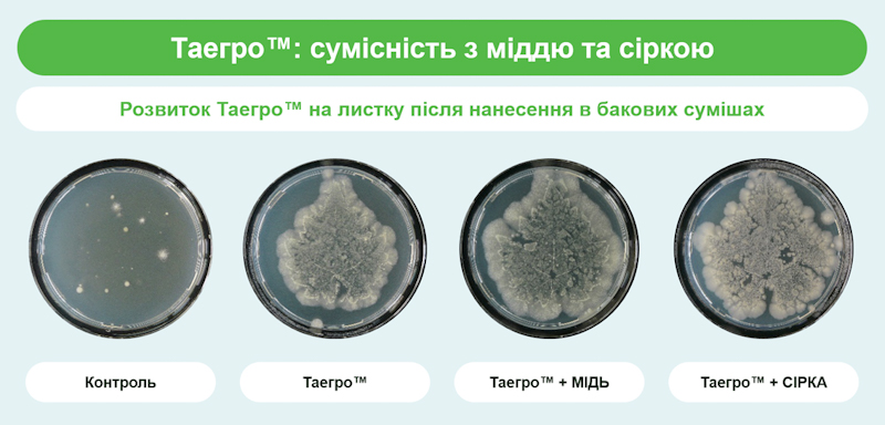 Syngenta 21 01 25 6