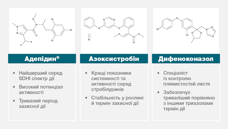 Syngenta 23 01 25 6