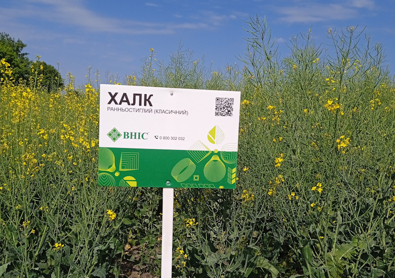 vnis 29 07 24 halk