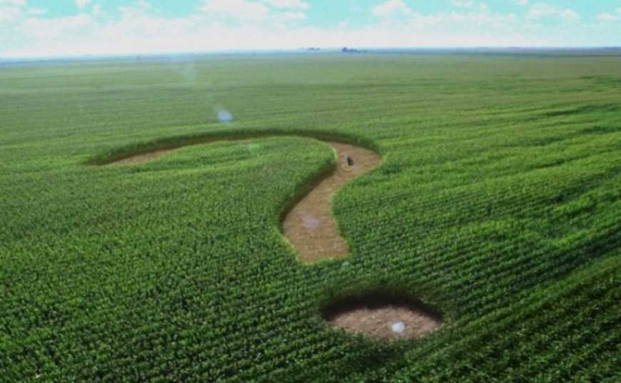 «Вбити» земельний мораторій можна за 1,5-2 роки – нардеп