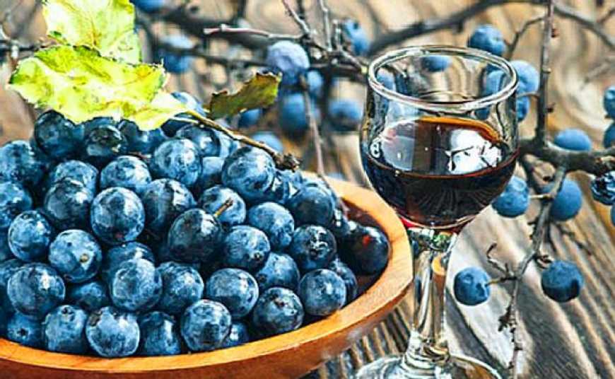 В Україні з’явиться ігристе сухе вино з лохини