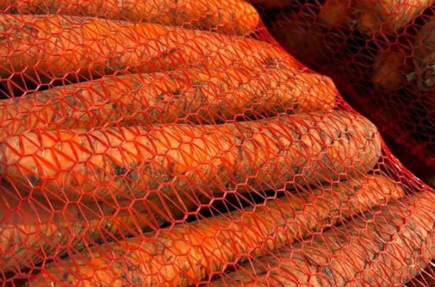 В Україні ціни на моркву за тиждень зросли на 34%