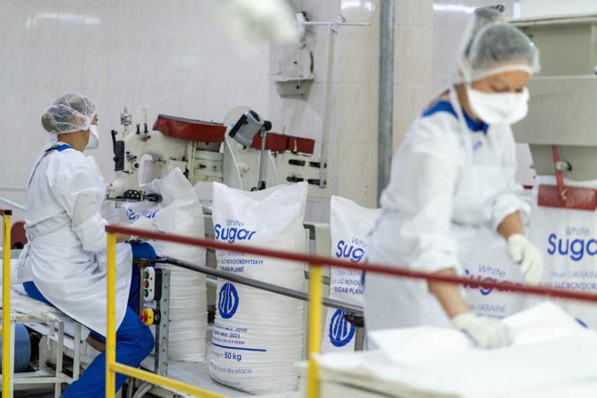 Собівартість нового сезону оцінюють у 30 гривень за кілограм