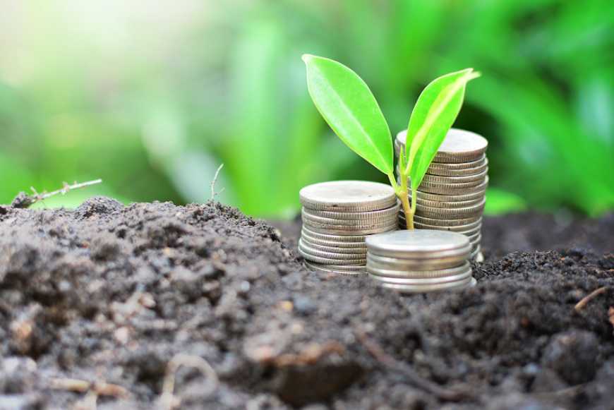 В Україні пропонують запровадити перехідний період для встановлення ринкової вартості землі