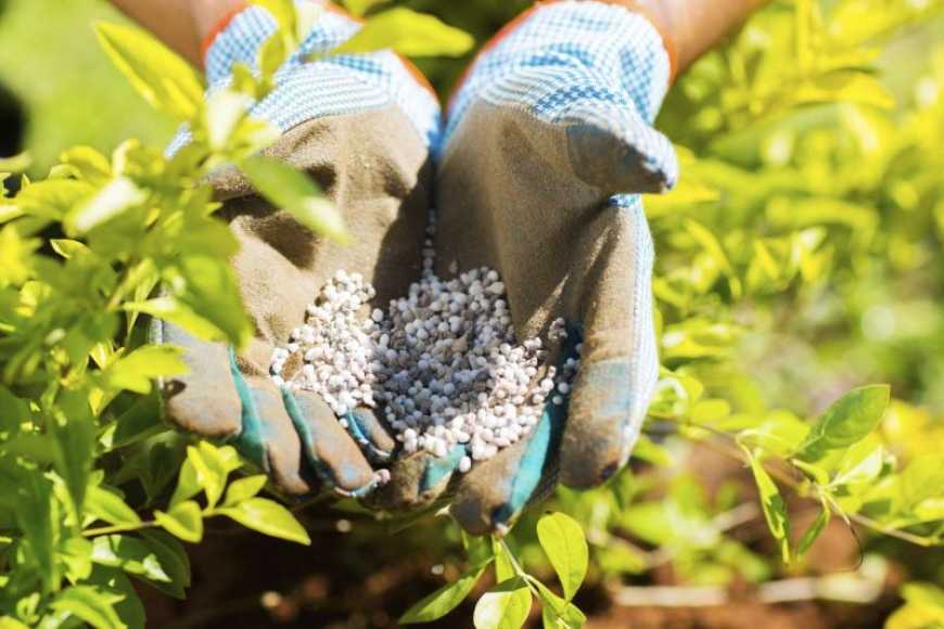 Ринок добрив: світові ціни можуть зрости на 15-20%