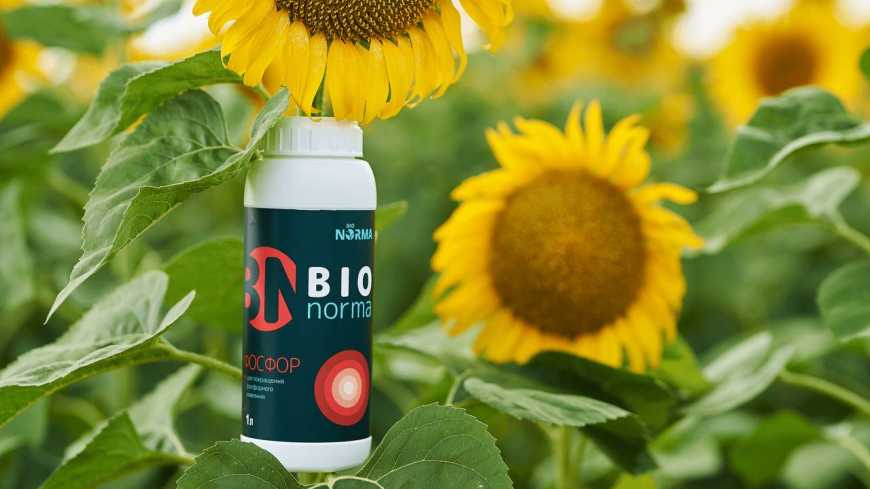 Компанія BioNorma продовжує працювати