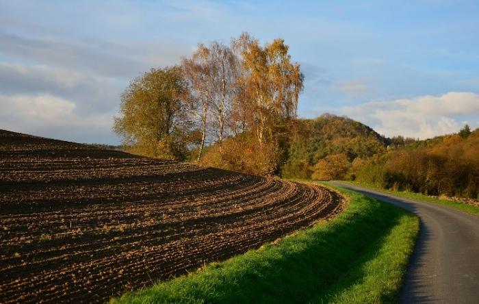 Комітет Ради з питань аграрної політики підтримав продовження мораторію на продаж землі до 2019 року