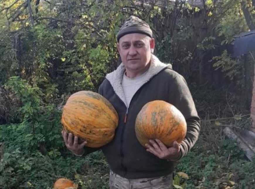 На Кіровоградщині ветеран започаткував гарбузовий бізнес