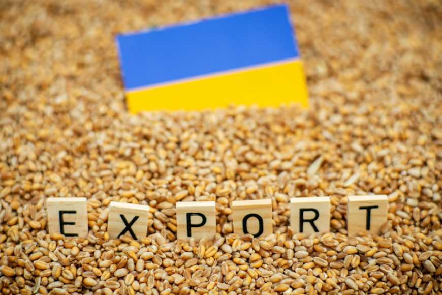 Румунія продовжила вимогу ліцензування для української агропродукції