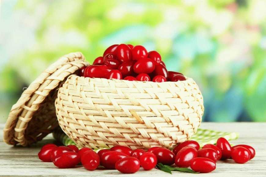 Українська компанія Famberry виготовлятиме настоянку з кизилу