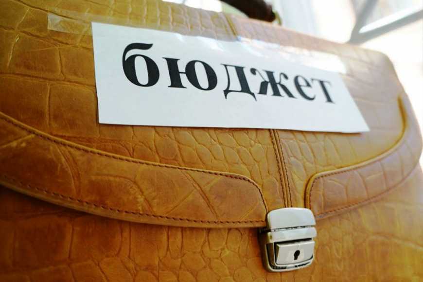 Нардепи запропонували 50 правок до аграрного бюджету на 2020 рік