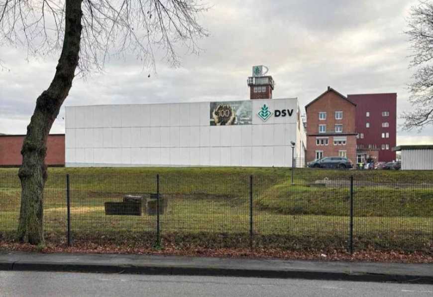 Стабільні результати DSV