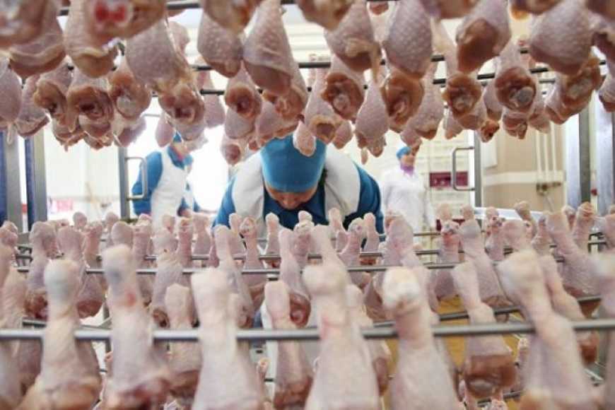 Експорт м&rsquo;яса птиці приніс Україні 1 млрд доларів