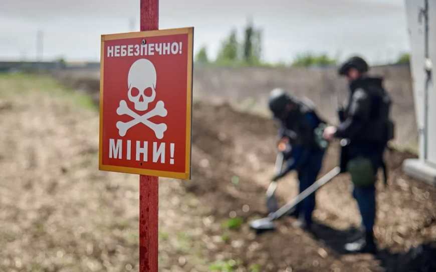 Компенсації розмінування агроземель: ціна очищення першої ділянки впала на аукціоні на 55%