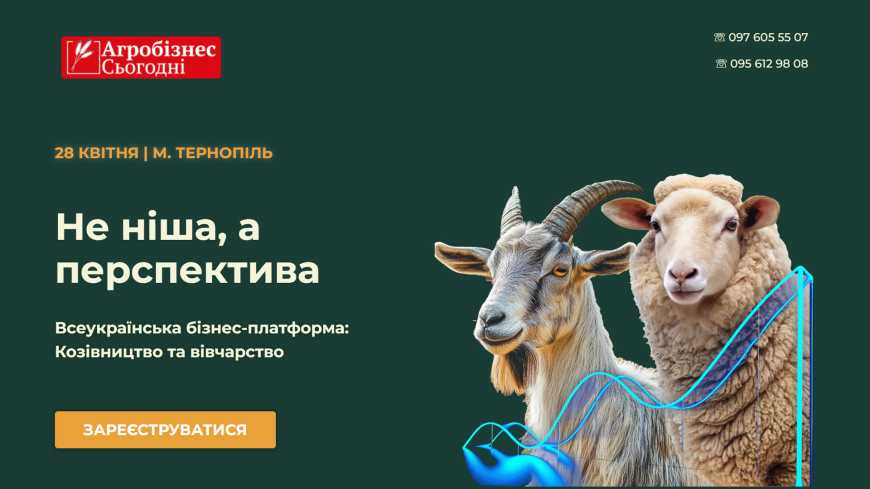 &laquo;Не ніша, а перспектива&raquo;. Козівництво та вівчарство: програма Всеукраїнської бізнес-платформи