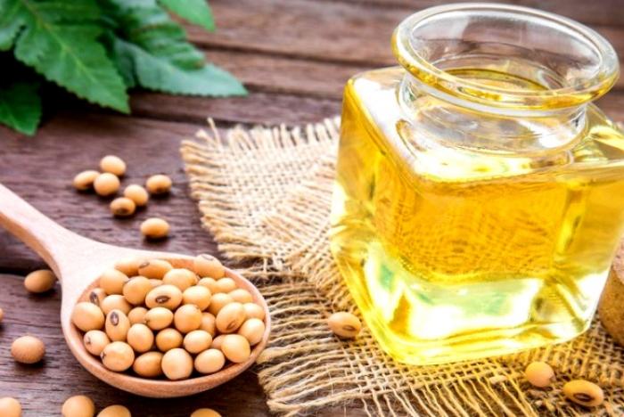 Україна збільшила експорт соєвої олії