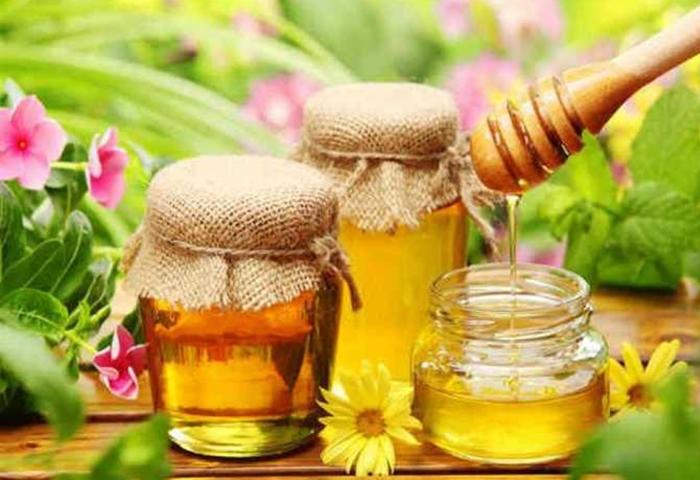 Європарламент розширив квоти на український мед та зернові