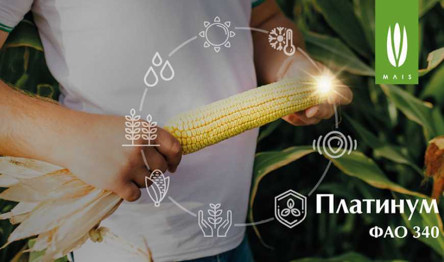 Платинум — справжня коштовність у скарбничці MAIS
