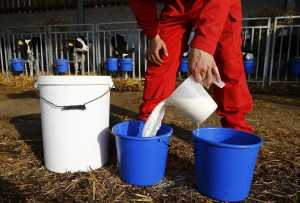 Експерти назвали найпопулярніші в Україні органічні продукти