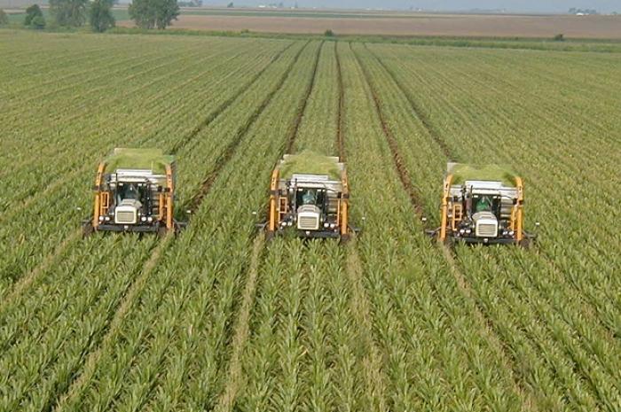 В Україні 30% сільгосптехніки потребує оновлення