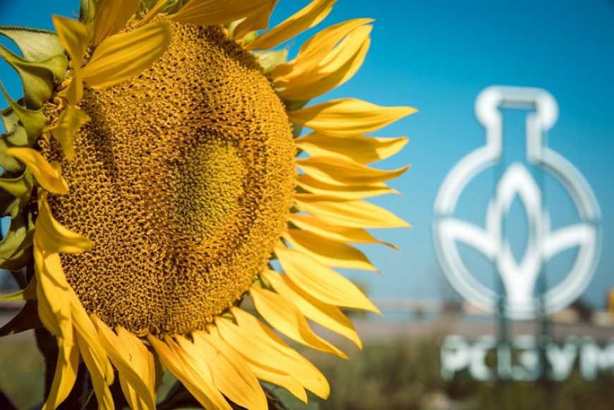 ALFA Smart Agro сплатила понад 407 мільйонів гривень податків з 24.02.2022