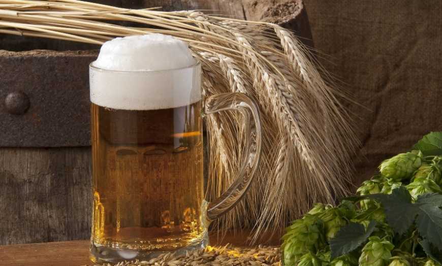 Ціна на пивоварний ячмінь зросте на 15-20% - експерт